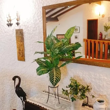 Casa Dos Sequeiras Villa Monsanto Exterior photo